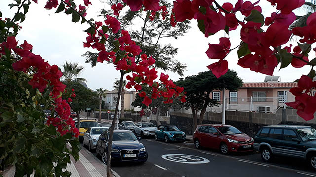 costa adeje